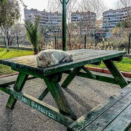 Peaceful Riverside Retreat 10-min Walk To Beach, Steps From National Park In Apartment Alanya